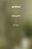 What Is Hydrolysis — And Why Peptide Size Changes Everything